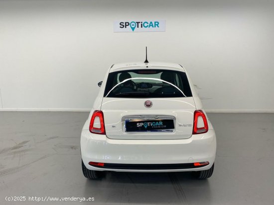 Fiat 500 Cult 1.0 Hybrid 51KW (70 CV) - 