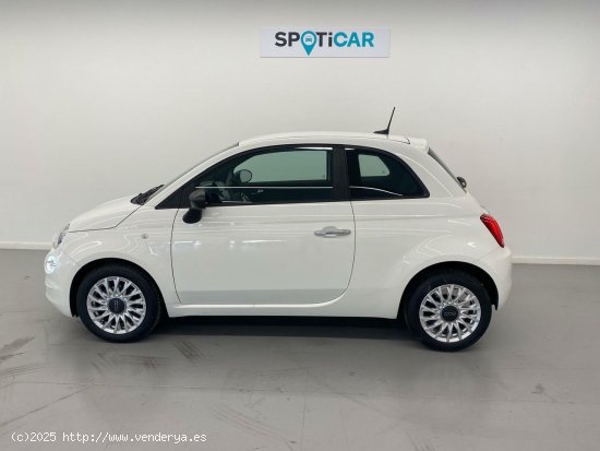 Fiat 500 Cult 1.0 Hybrid 51KW (70 CV) - 