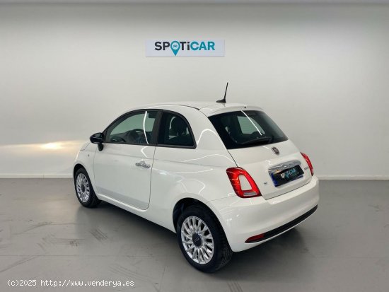 Fiat 500 Cult 1.0 Hybrid 51KW (70 CV) - 