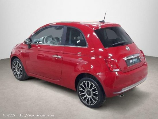 Fiat 500 Monotrim 1.0 Hybrid 51KW (70 CV) + Co/Te - 