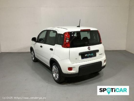 Fiat Panda City Life Hybrid 1.0 Gse 51kw (70CV) - 