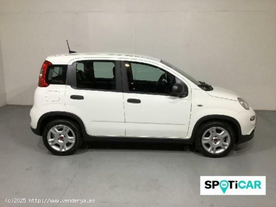 Fiat Panda City Life Hybrid 1.0 Gse 51kw (70CV) - 