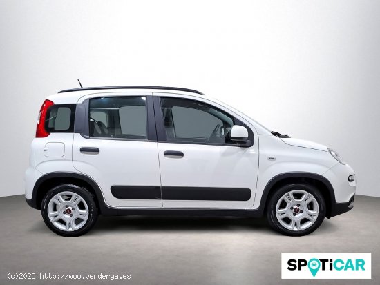 Fiat Panda City Life Hybrid 1.0 Gse 51kw (70CV) - 