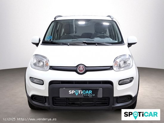 Fiat Panda City Life Hybrid 1.0 Gse 51kw (70CV) - 