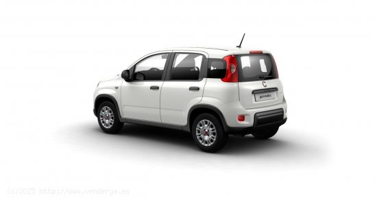 Fiat Panda Pandina 1.0 Hybrid 51kW (70cv) - 