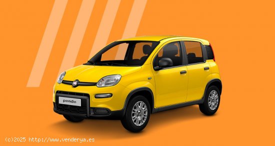 Fiat Panda Pandina 1.0 Hybrid 51kW (70cv) - 