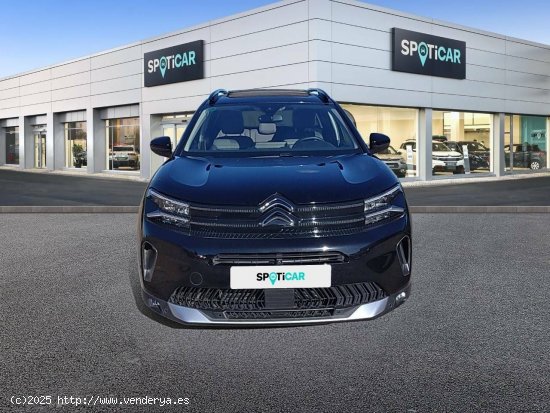 Citroën C5 Aircross  BlueHdi 96kW (130CV) S&S EAT8 Shine Pack - CANET D EN BERENGUER