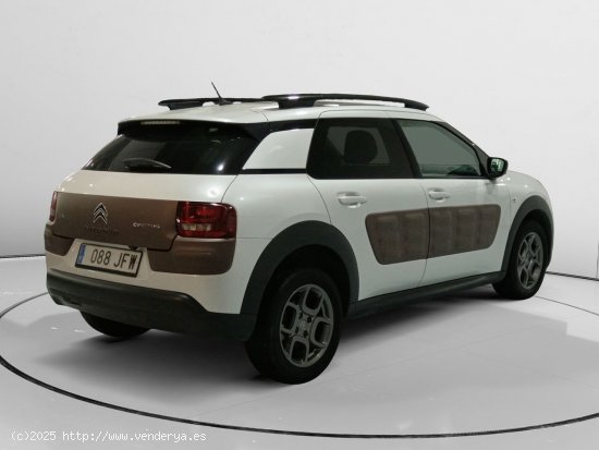 Citroën C4 Cactus Shine - 