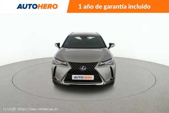 Lexus UX 250h - 