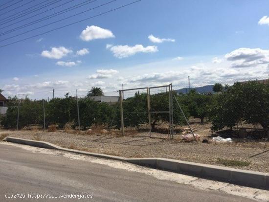 PARCELA RÚSTICA VALLADA EN MONTEAGUDO - MURCIA