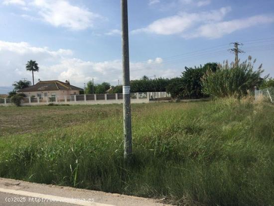 SE VENDE PARCELA URBANA EN LA ARBOLEJA - MURCIA