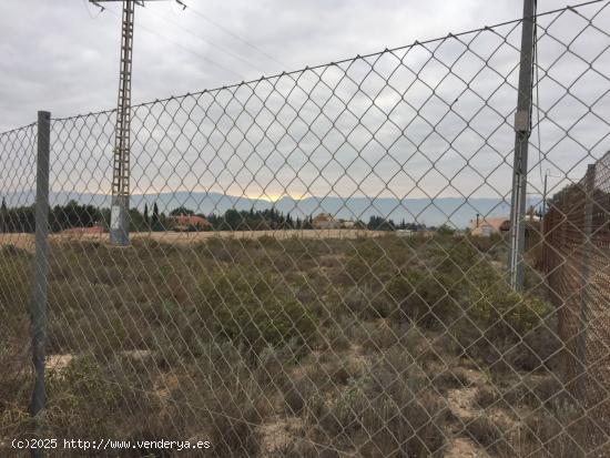 PARCELA RUSTICA EN SANGONERA LA SECA - MURCIA