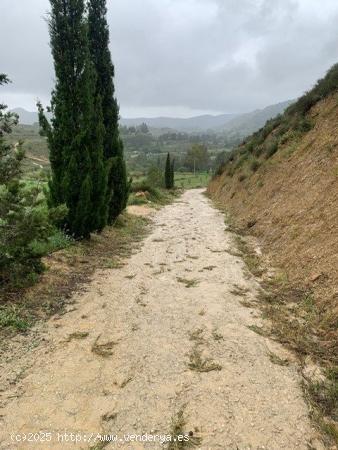 FINCA EN EL GARRUCHAL DE 9000 m2, con agua de riego y luz - MURCIA