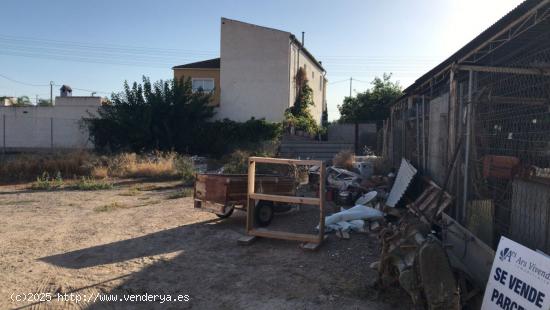 PARCELA EN LA ALBATALIA. - MURCIA