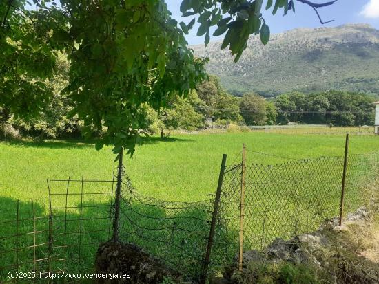 SE VENDE TERRENO RUSTICO EN LASTRAS (RUESGA) - CANTABRIA