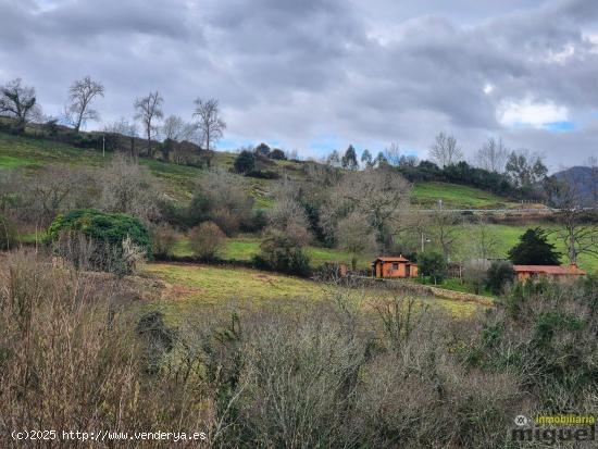 Se vende terreno de más de 10.000 metros con cabaña para rehabilitar en Val de San Vicente - CANTA