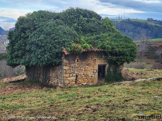 Se vende terreno de más de 10.000 metros con cabaña para rehabilitar en Val de San Vicente - CANTA