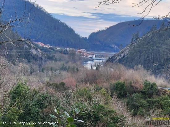 Se vende terreno de más de 10.000 metros con cabaña para rehabilitar en Val de San Vicente - CANTA