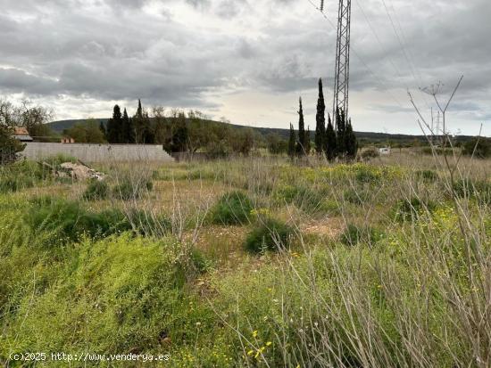 TERRENO RÚSTICO EN SANTA MARÍA DEL CAMÍ - BALEARES