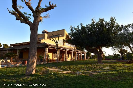 FINCA EN VENTA DE 10.000m2 DE PARCELA, LOS CAMACHOS - MURCIA