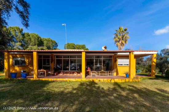 Chalet en parcela de 7.500 m² en Carretera de Sevilla (Badajoz). Todo Registrado. Financiable - BAD