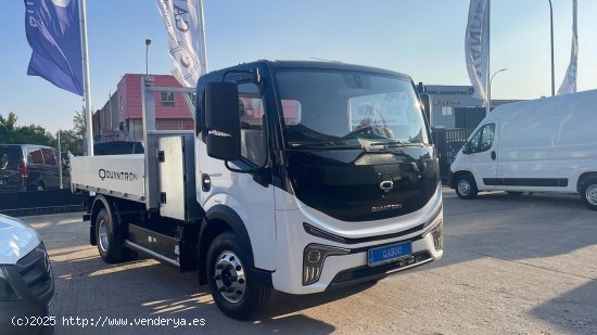 BYD Dolphin QUANTRON QARGO 4 EV - Lugo