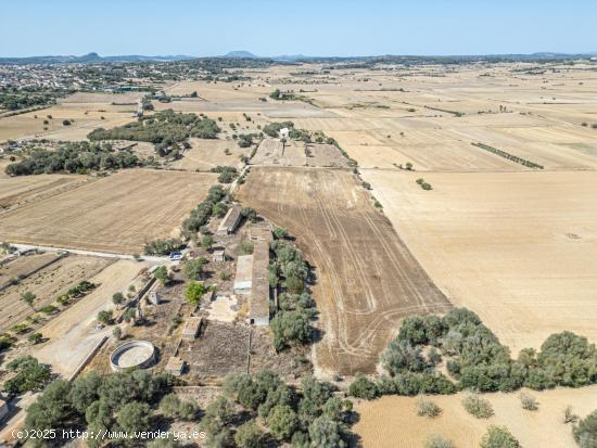 Terreno de 22,324 m² con posibilidad de construir una vivienda - BALEARES