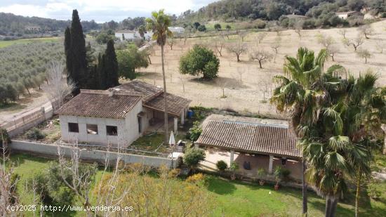 Oportunidad en Sant Joan! Finca rústica con proyecto en venta - BALEARES