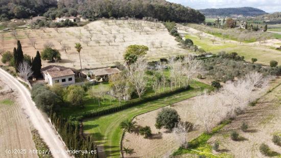 Oportunidad en Sant Joan! Finca rústica con proyecto en venta - BALEARES