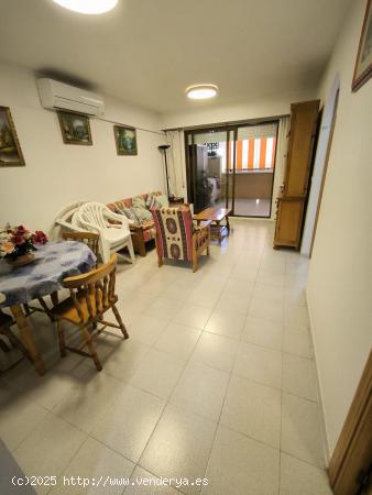 APARTMENT PARQUE DE NACIONES - TORREVIEJA - ALICANTE