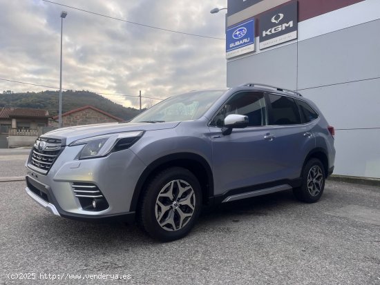 Subaru Forester 2.0i Hybrid CVT Executive - Ourense