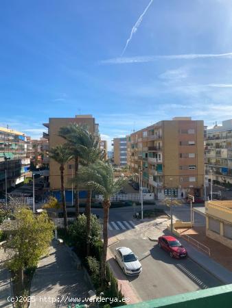 Se Vende en La Pobla de Farnals - VALENCIA