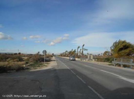 TERRENO RUSTICO EN ZONA DE CARRIZALES Y HUMEDALES - ALICANTE