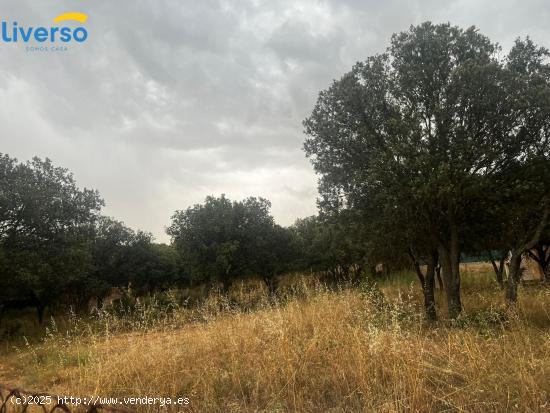 CONSTRUYE LA CASA DE TUS SUEÑOS ¡CON ESTA PARCELA DE ENSUEÑO! - BURGOS