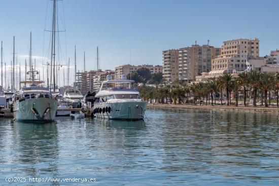 Oportunidad única en el sector gastronómico en Paseo Marítimo. - BALEARES