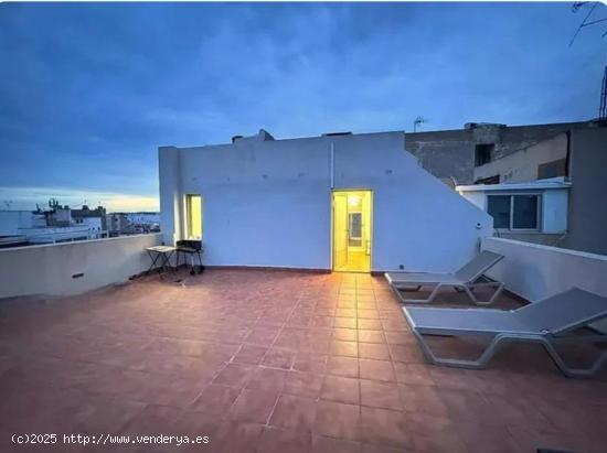 ALQUILER DE EXCELENTE LOFT REFORMADA ZONA CENTRO DE ALICANTE CON GRAN TERRAZA - ALICANTE