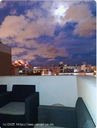 ALQUILER DE EXCELENTE LOFT REFORMADA ZONA CENTRO DE ALICANTE CON GRAN TERRAZA - ALICANTE