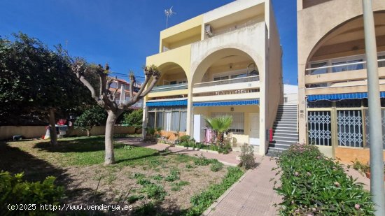  Apartamento en venta en Torrevieja (Alicante) 