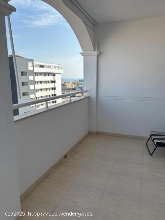 APARTAMENTO DE 2 DORMITORIOS CON PISCINA Y GARAJE - ZONA TORREBLANCA, TORREVIEJA - - ALICANTE