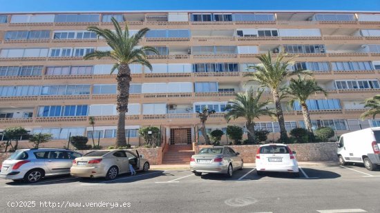 Apartamento en venta en Torrevieja (Alicante)