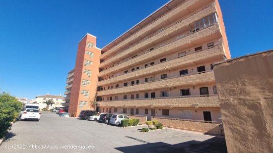 Apartamento en venta en Torrevieja (Alicante)