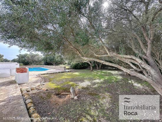 OL37 -  Bonita Casa de Campo con licencia turística en Llucmasanes - BALEARES