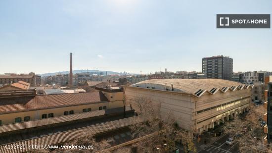 Bonito piso totalmente amueblado a un paso de la Plaza Francesc Macia - BARCELONA