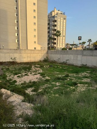 Parcela en venta en Guardamar del Segura (Alicante)