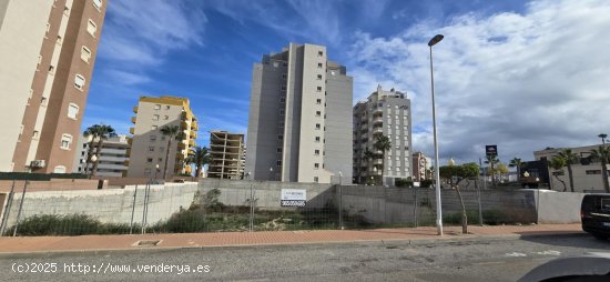 Parcela en venta en Guardamar del Segura (Alicante)