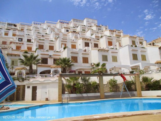  Casa en alquiler en Torrevieja (Alicante) 