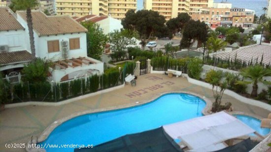 Casa en alquiler en Torrevieja (Alicante)