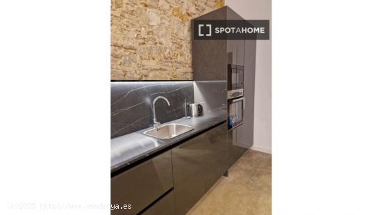 Apartamento entero de 1 dormitorio en Barcelona - BARCELONA