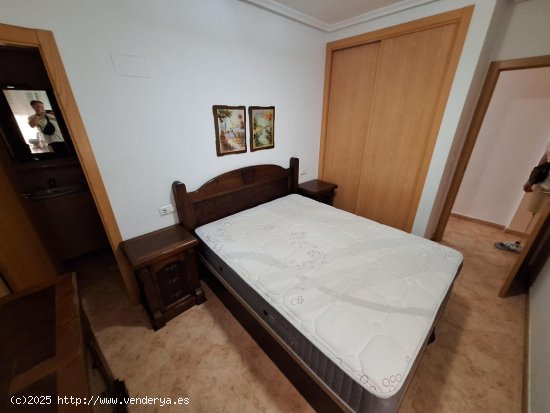 Apartamento en alquiler en Torrevieja (Alicante)