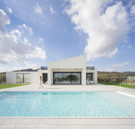  Villa en venta en Murcia (Murcia) 